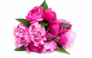 Allen's Flowers offers Popular Flowers for October Breast Cancer Awareness Month