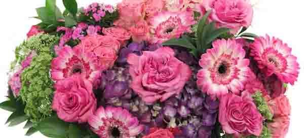 Celebrate World Teachers Day with Flowers from Allen's Flowers Same Day Local Delivery