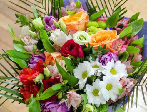 Allen’s Flowers Offers Same Day La Mesa California Flower Delivery