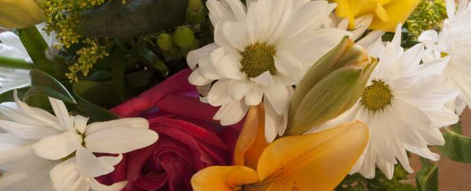 El Cajon California Flower Delivery for Thanksgiving and all Occasions is Provided by Allen's Flowers