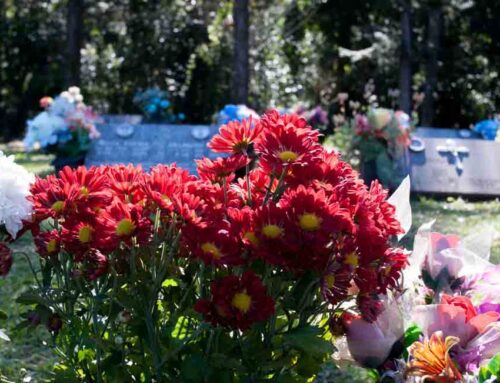 Allen’s Flowers Offers Flower Delivery to El Camino Memorial – Encinitas