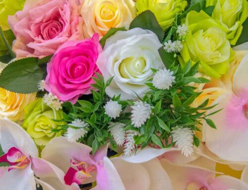 Celebrate New Arrivals with Beautiful Flowers and Plants from Allen’s Flowers