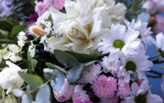 Bouquet of flowers on a blue background. High quality photo