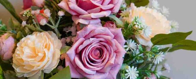 pinks and yellow rose flowers and green leaf on white background